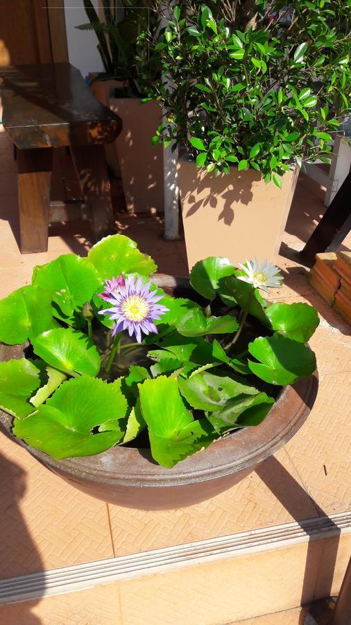 Savika Guesthouse Ranong Esterno foto